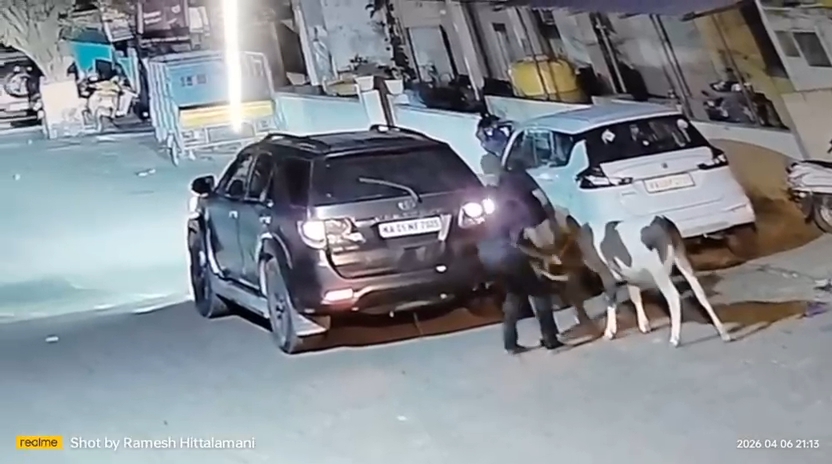 ಹುಬ್ಬಳ್ಳಿಯ ಬೆಂಡಿಗೇರಿ ಪೊಲೀಸ್ ಠಾಣೆ ವ್ಯಾಪ್ತಿಯಲ್ಲಿ ಹೈಟೆಕ್ ಕಾರ್ ಮೂಲಕ ಗೋವು ಕಳ್ಳತನ