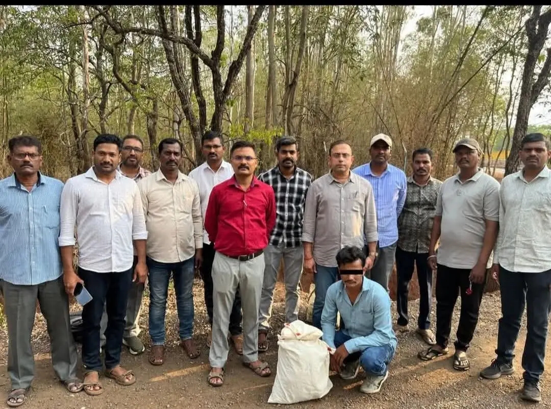 ಬೆಳಗಾವಿ ಸಿಸಿಬಿ ಪೊಲೀಸರ ಭರ್ಜರಿ ಕಾರ್ಯಾಚರಣೆ: ₹3 ಲಕ್ಷಕ್ಕೂ ಅಧಿಕ ಮೌಲ್ಯದ ಗಾಂಜಾ ವಶ, ಓರ್ವ ಅರೆಸ್ಟ್